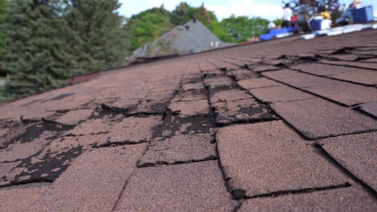 Best Gutter Replacement  in USA